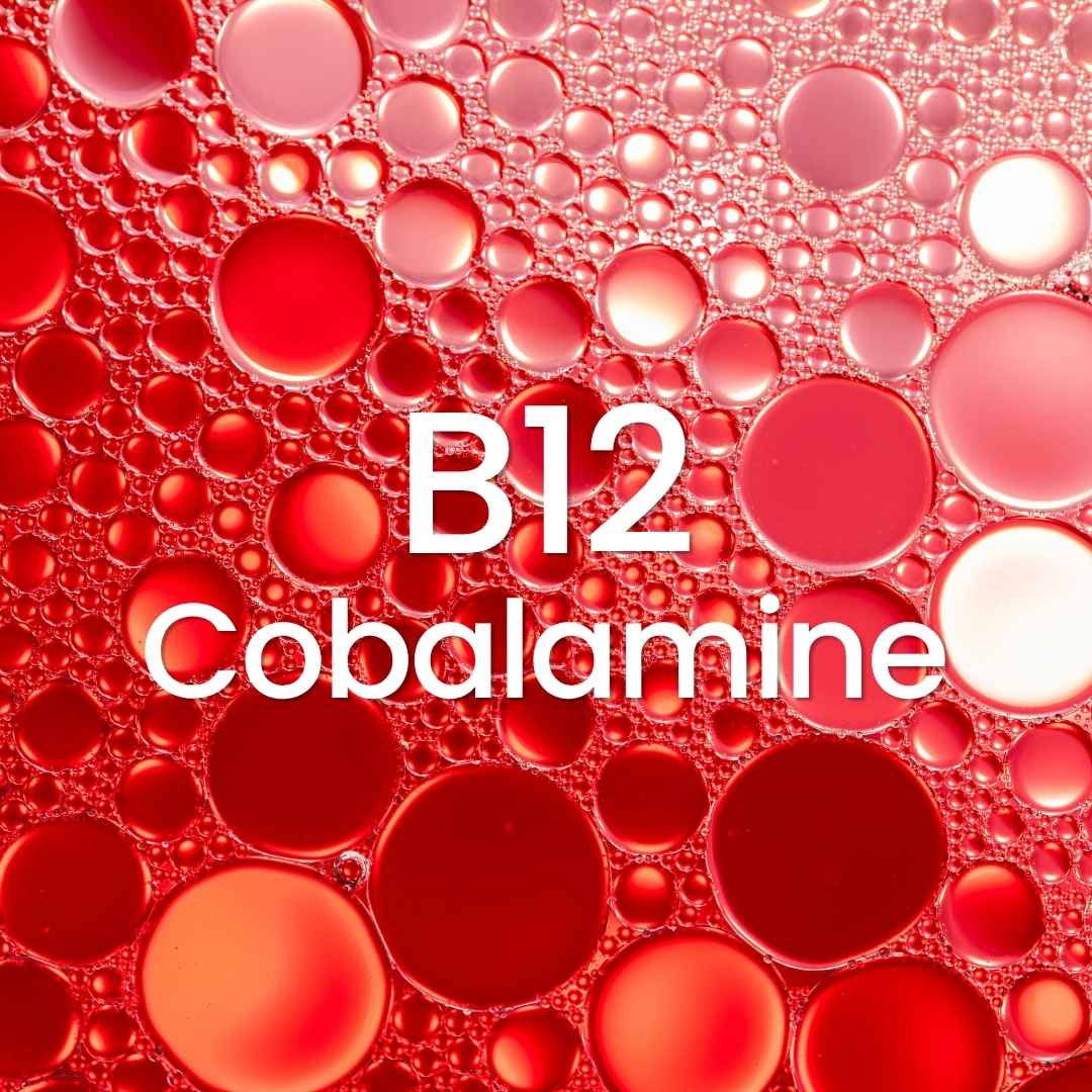 Un dossier complet pour tout savoir sur la vitamine B12 (cobalamine), un nutriment essentiel pour les végans et végétariens.