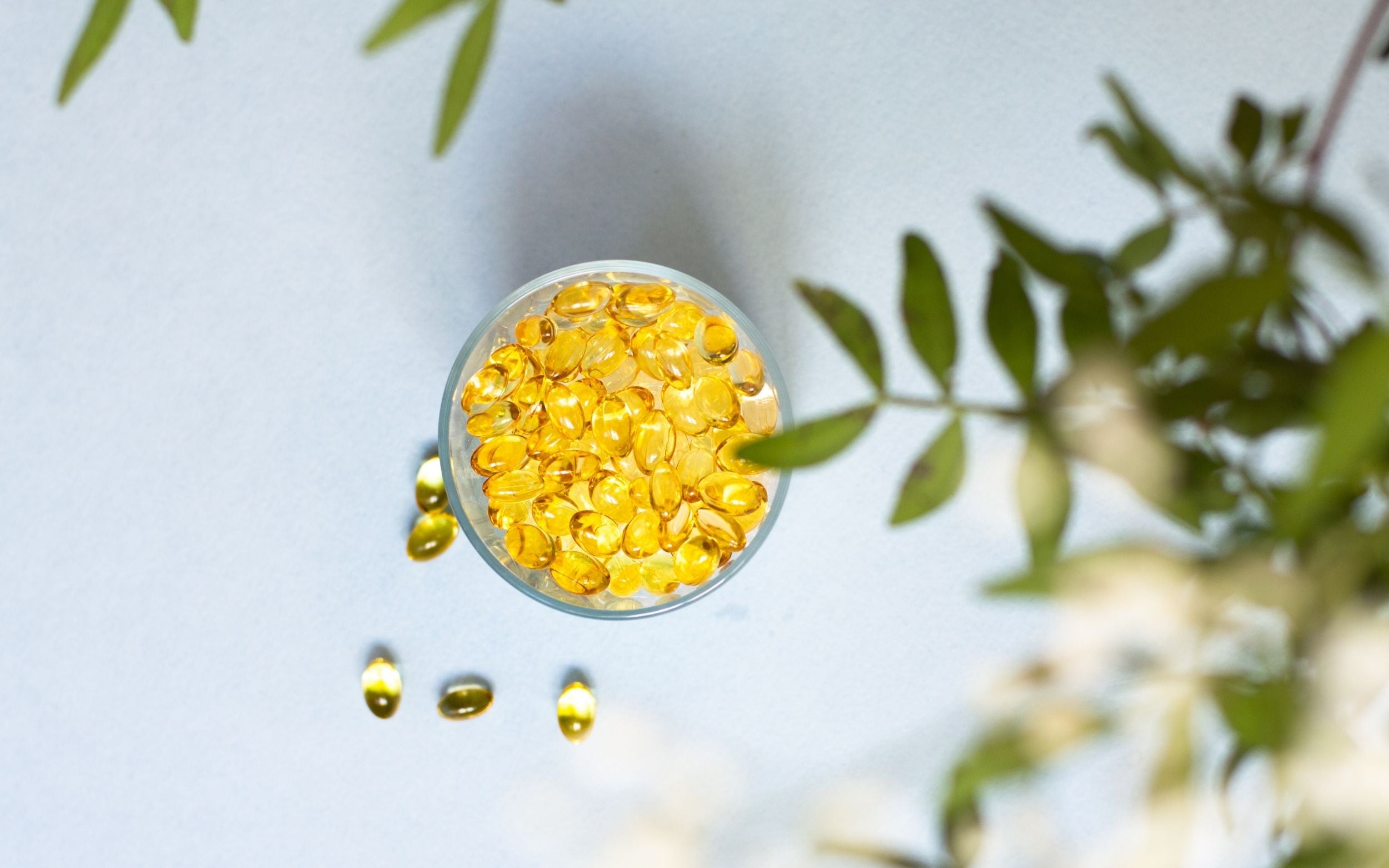 Pot de 60 capsules molles d'oméga 3 végétal omegavie breveté qualitysilver fabriqué en France de la marque orin nutrition