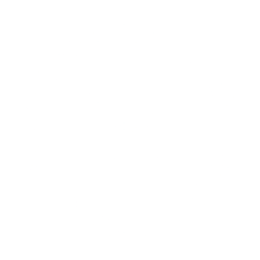 feature-item-1